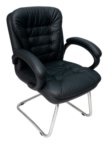 Leather Visitor Chairs
